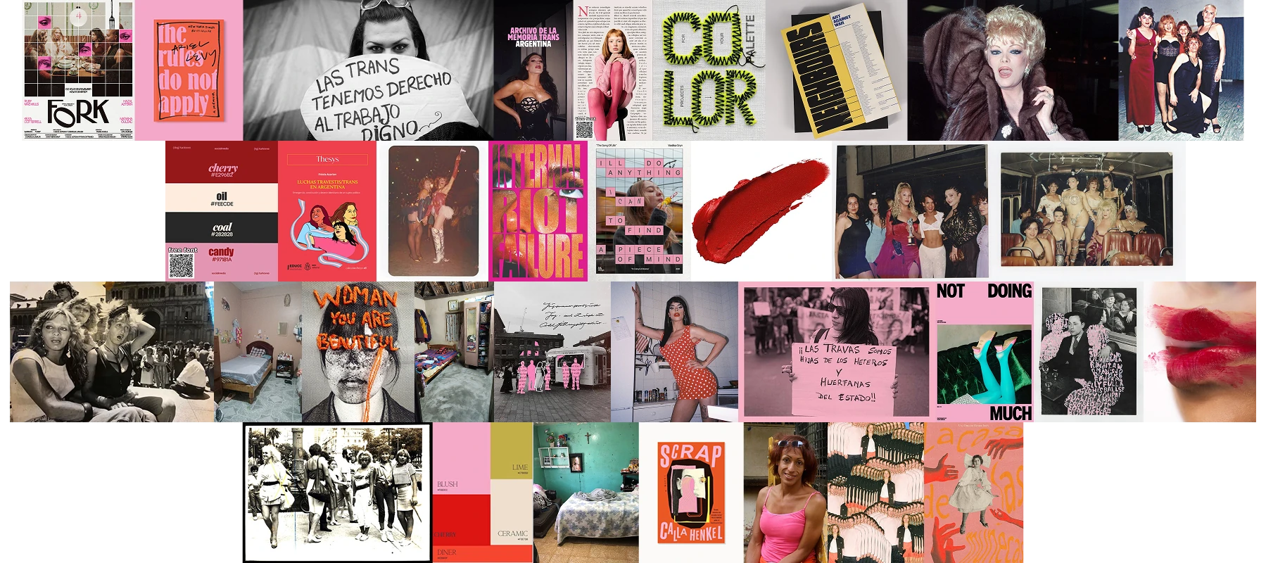 Moodboard for Primeras Nociones Travestis