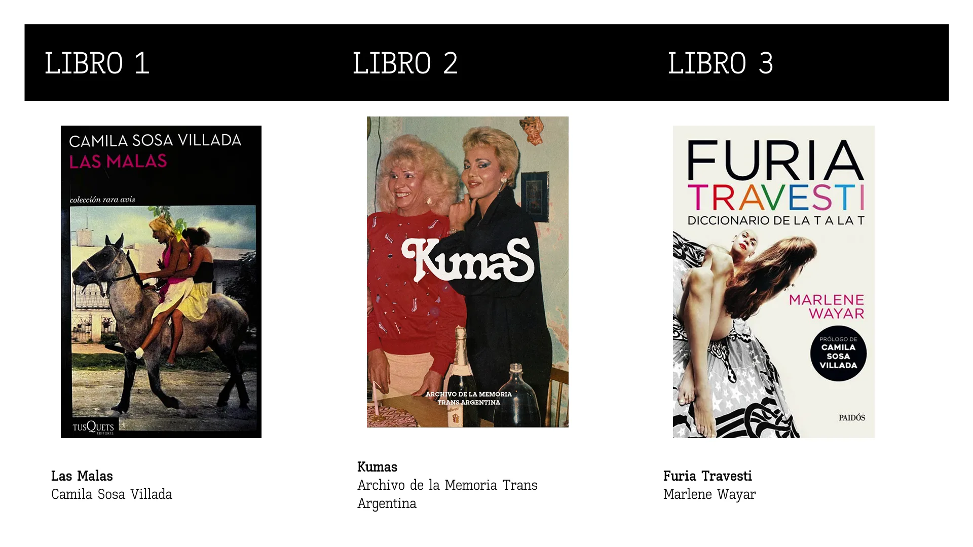 Three books from the Primeras Nociones Travestis collection